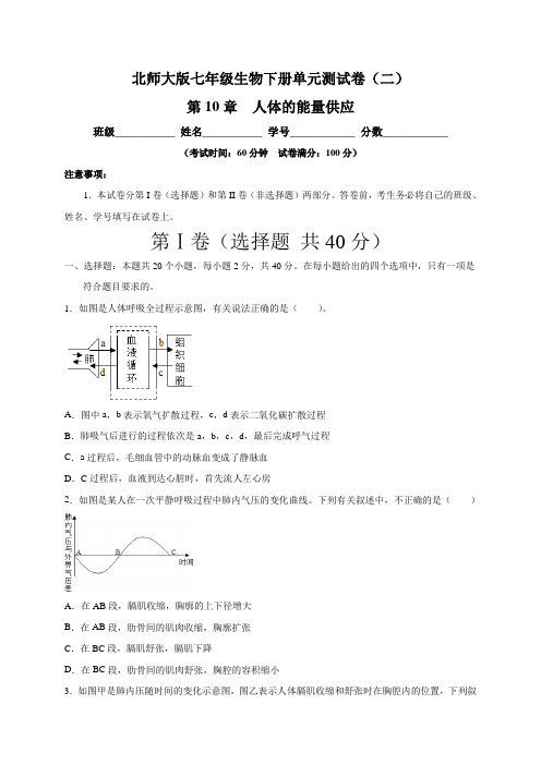 北师大版七年级生物下册 第10章人体的能量供应  单元测试卷(二)含答案与解析