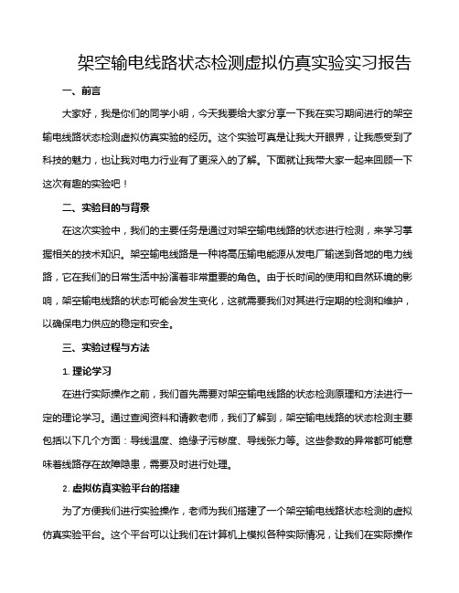 架空输电线路状态检测虚拟仿真实验实习报告