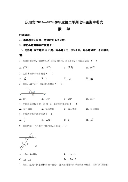 甘肃省庆阳市2023-2024学年七年级下学期5月期中考试数学试题(含解析)