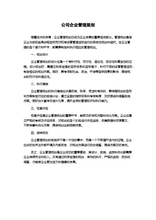 公司企业管理规划