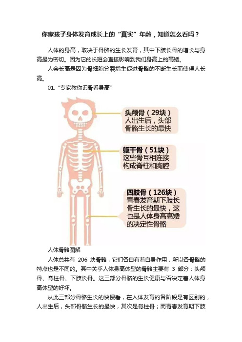 你家孩子身体发育成长上的“真实”年龄，知道怎么看吗？