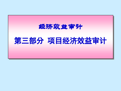 内部审计-项目经济效益审计