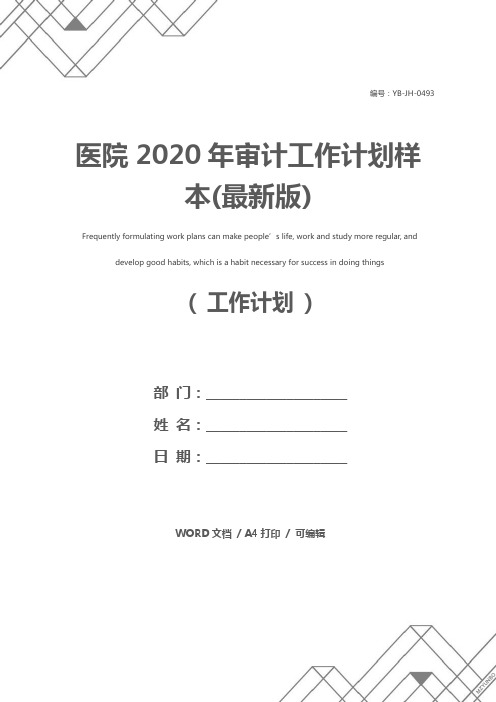 医院2020年审计工作计划样本(最新版)