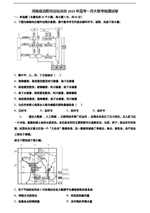 河南省洛阳市达标名校2019年高考一月大联考地理试卷含解析