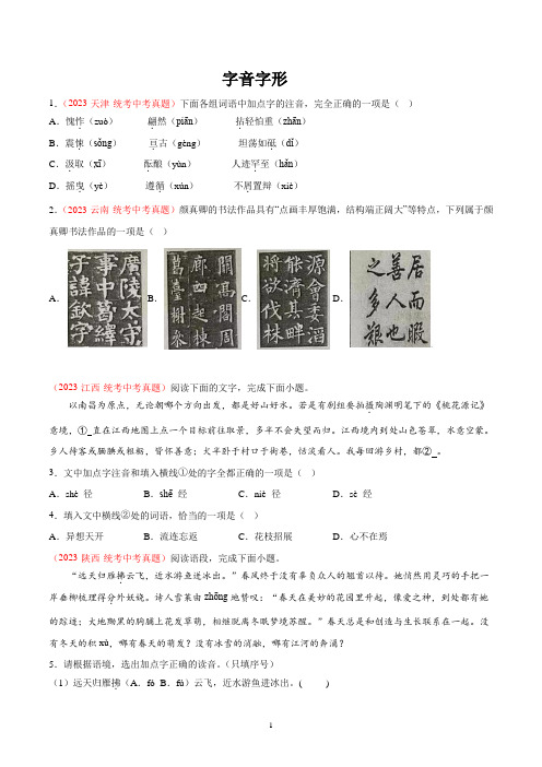 2023年中考语文真题分项汇编字音字形专题