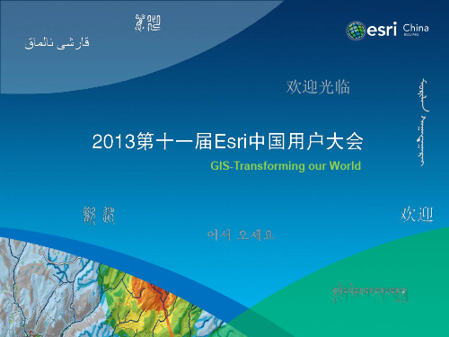 ArcGIS 10.2 for Server架构设计与性能优化策略