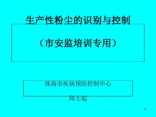 生产性粉尘的识别与控制培训课件(ppt 110页)