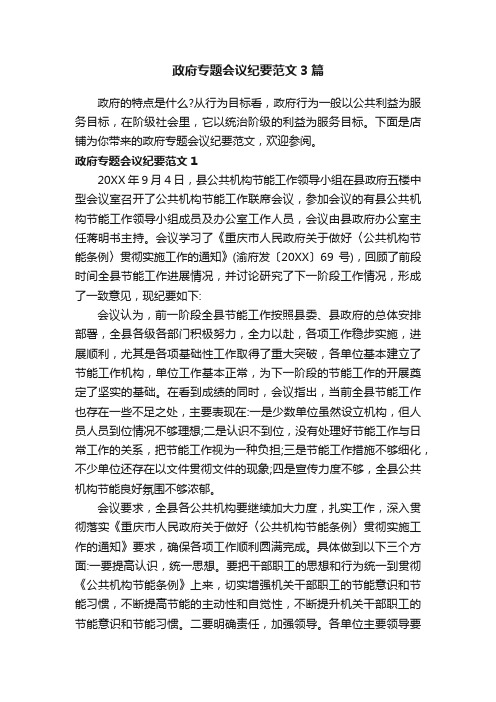 政府专题会议纪要范文3篇