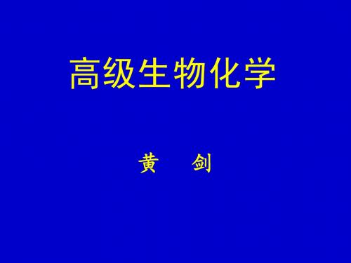 第一章 蛋白质的结构和功能