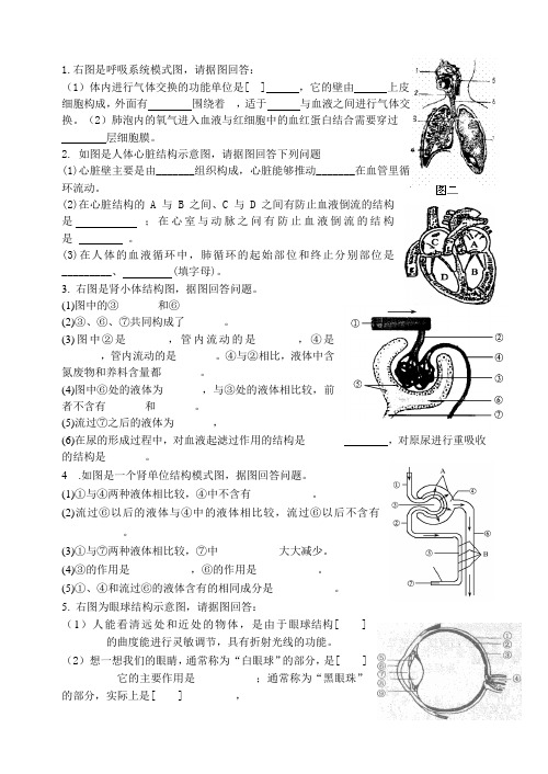 识图题 Word 文档