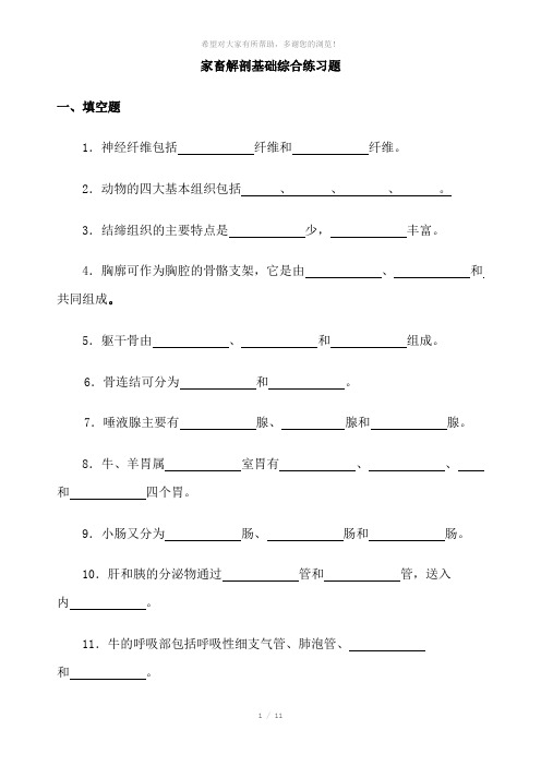 家畜解剖基础综合练习题