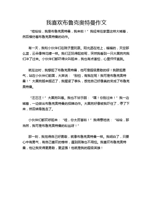 我喜欢布鲁克奥特曼作文