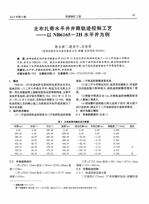 北布扎奇水平井井眼轨迹控制工艺——以NB6165-2H水平井为例