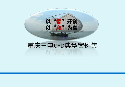 CFD典型案例共46页文档