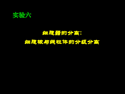 实验 细胞器的分离