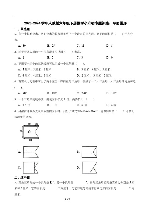 2023-2024学年人教版六年级下册数学小升初专题训练：平面图形(含答案)