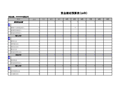 公司资金年预算表