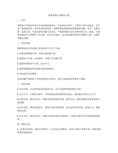 墓葬领域专项整治方案