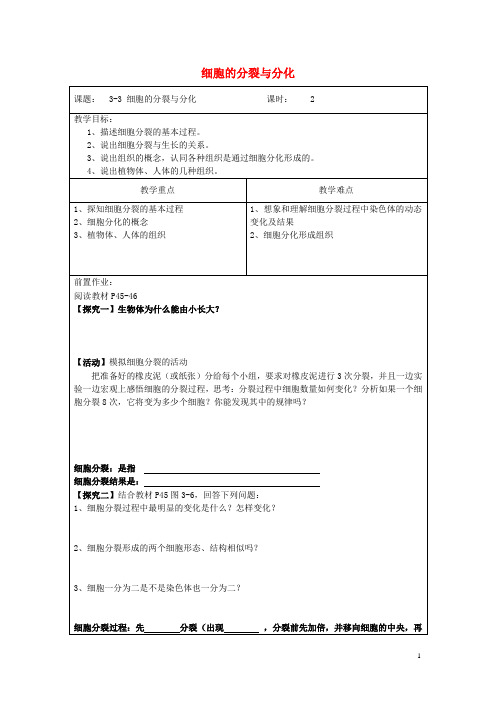 七年级生物上册233细胞分裂与分化教案苏教版