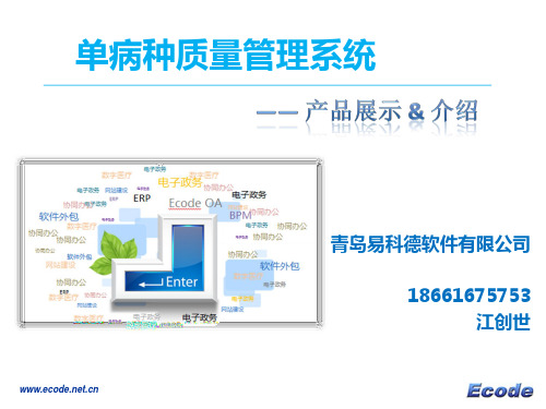单病种质量管理系统PPT参考幻灯片