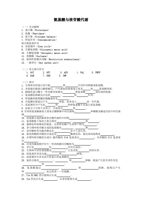 氨基酸与核苷酸代谢