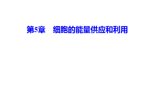 2020秋生物人教版必修第一册课件：第5章第1节降低化学反应活化能的酶第2课时酶的特性