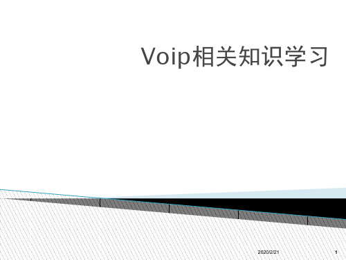 voip技术简介分析PPT参考幻灯片