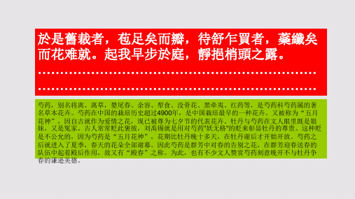 小庭勺药赋第三段赏析【清代】钱载骈体文