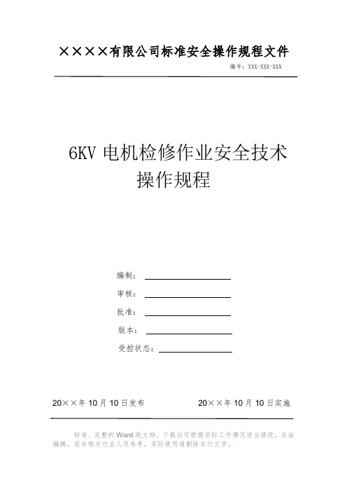 6KV电机检修作业安全技术操作规程电力安全操作标准文件 岗位作业指导书