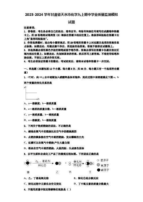 2023-2024学年甘肃省天水市化学九上期中学业质量监测模拟试题含解析