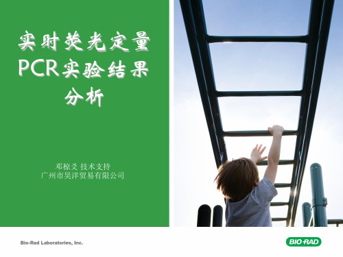 实时荧光定量PCR实验结果分析共31页