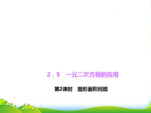 湘教版九年级上册数学习题课件2.5.2图形面积问题