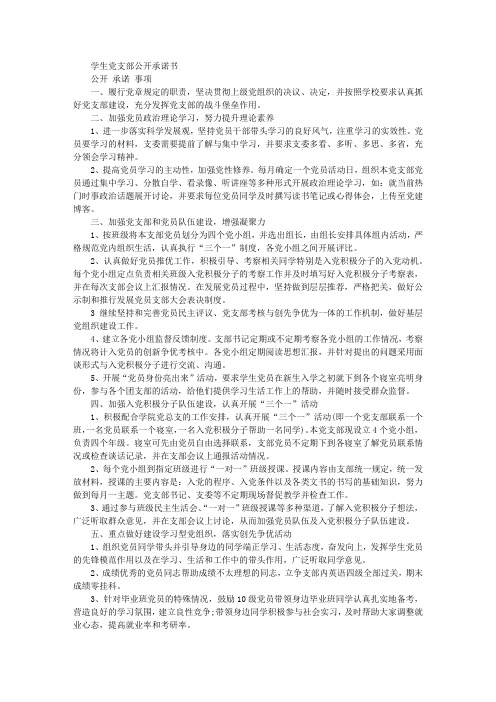 2014年学生党支部公开承诺书
