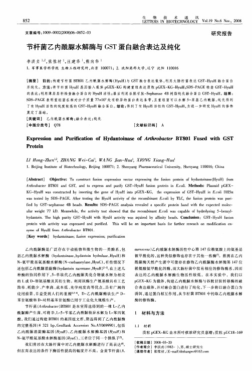 节杆菌乙内酰脲水解酶与GST蛋白融合表达及纯化