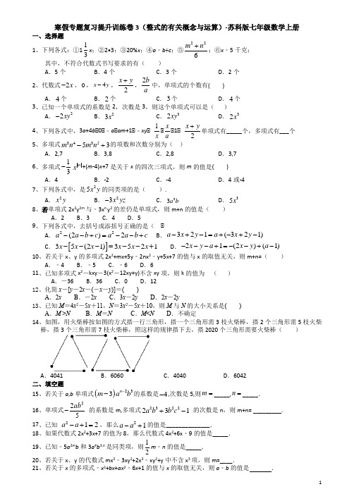 寒假专题复习提升训练卷3(整式的有关概念与运算)-苏科版七年级数学上册(机构)