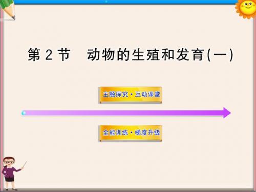 八年级生物上册 第十九章 第二节 动物的生殖和发育(一)课件 北师大版
