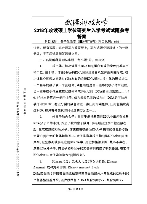 武汉科技大学616 分子生物学-2018(A卷)答案考研真题