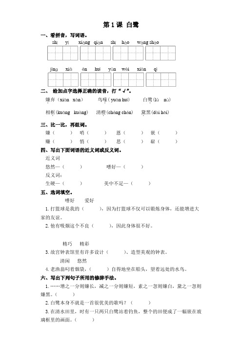 五年级上册语文一课一练-第1课 白鹭 部编版(含答案)