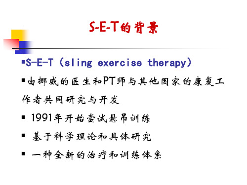 悬吊治疗技术PPT课件