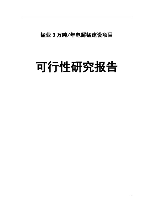 锰业年产3万吨电解锰建设项目可行性研究报告