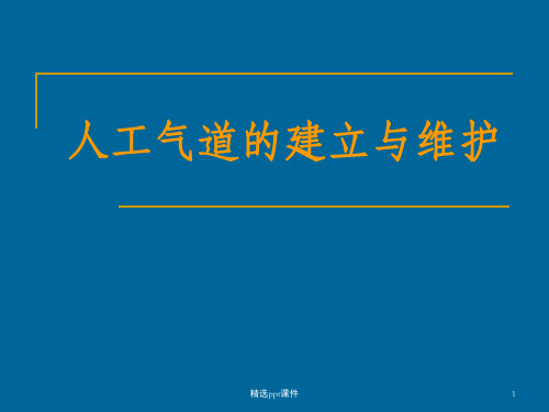 人工气道的建立和维护小讲课ppt课件