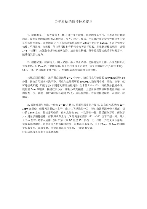 关于柑桔的嫁接技术要点