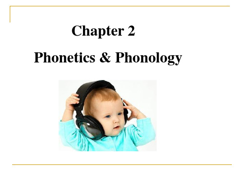 英语语言学 第二章 Phonetics and Phonology