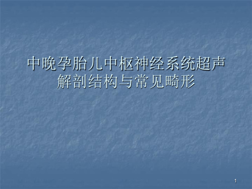 中晚孕胎儿中枢神经系统超声解剖与常见畸形ppt课件