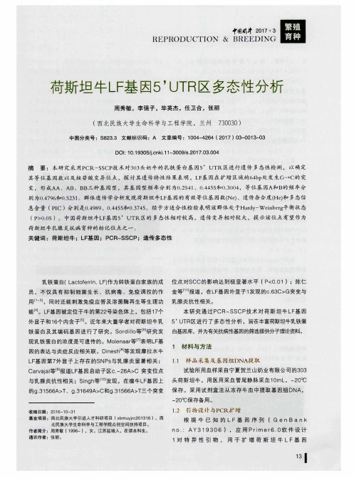 荷斯坦牛LF基因5’UTR区多态性分析