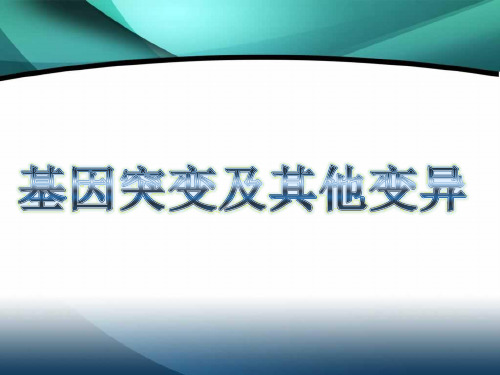 高中生物人教课标版必修2基因突变及其他变异 最新公开课优秀PPT