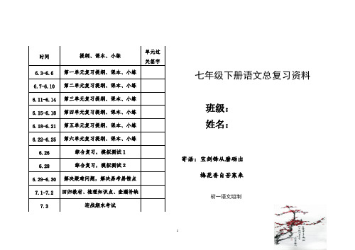 人教版七年级下册语文总复习资料(大全)