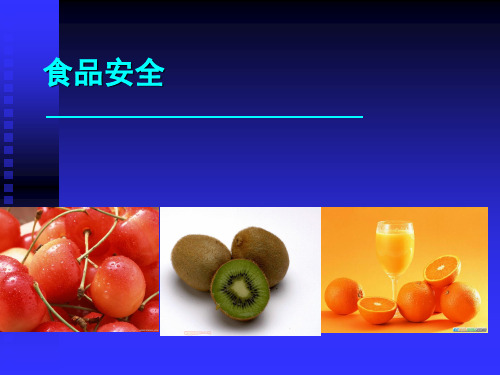 食品安全培训教材(PPT 41页)