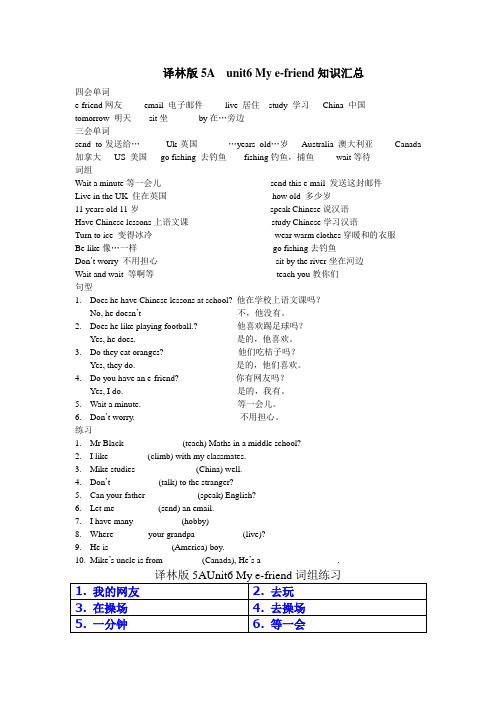 译林版5A  unit6 My e-friend知识汇总