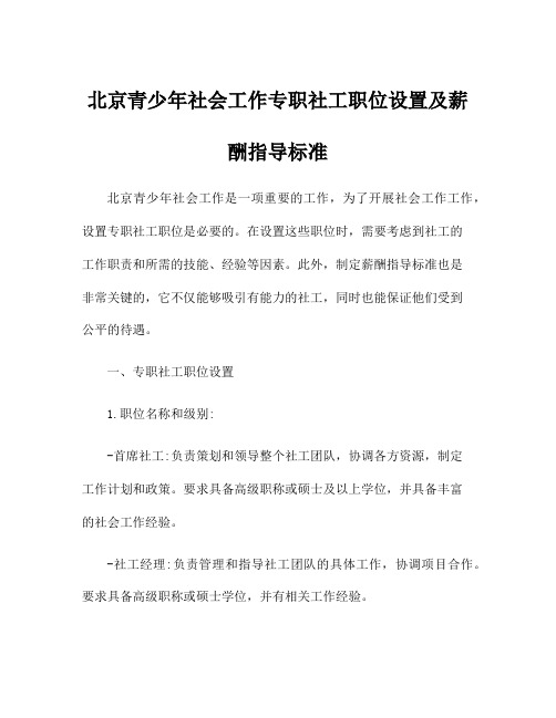 北京青少年社会工作专职社工职位设置及薪酬指导标准